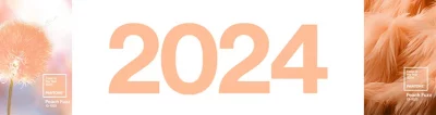 Read more about the article PANTONE Farbe des Jahres 2024 ist Peach Fuzz